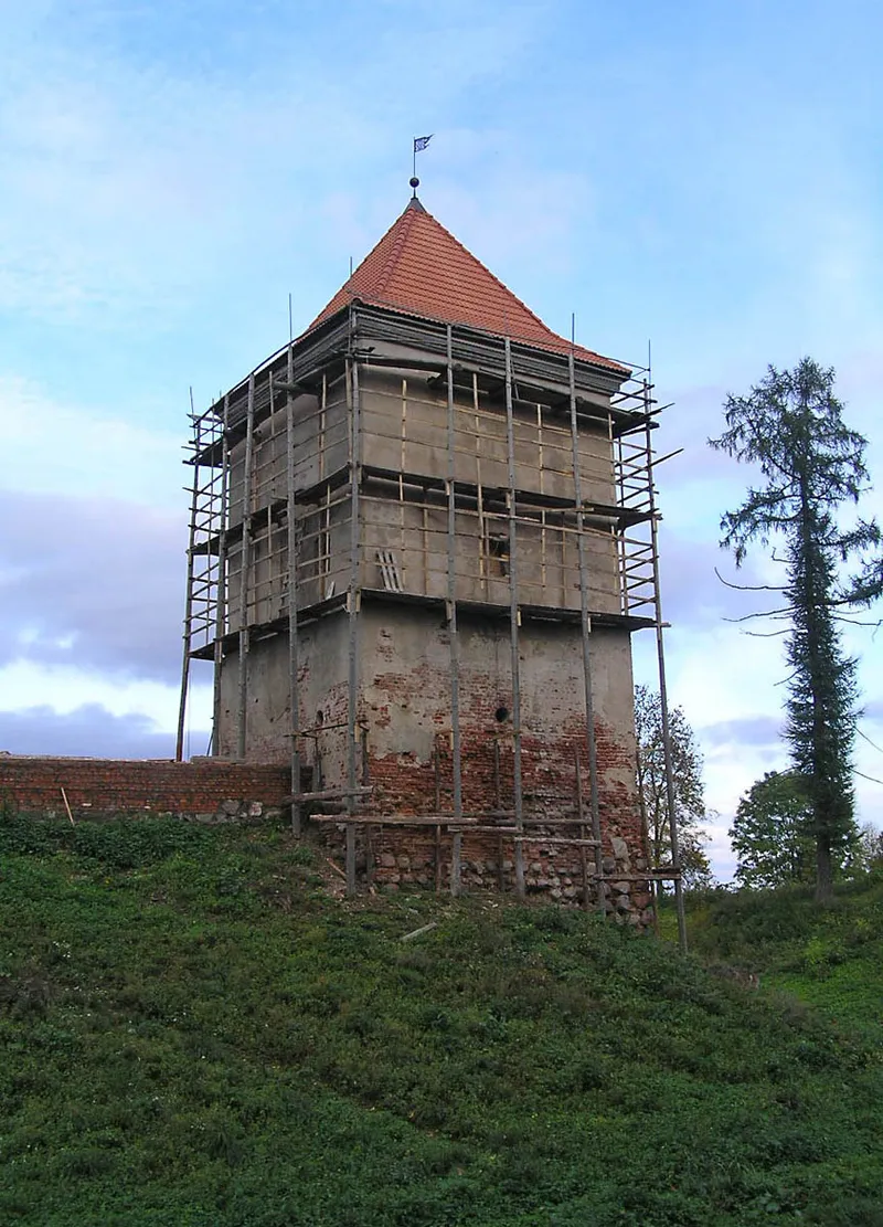 Южная волонтерская башня