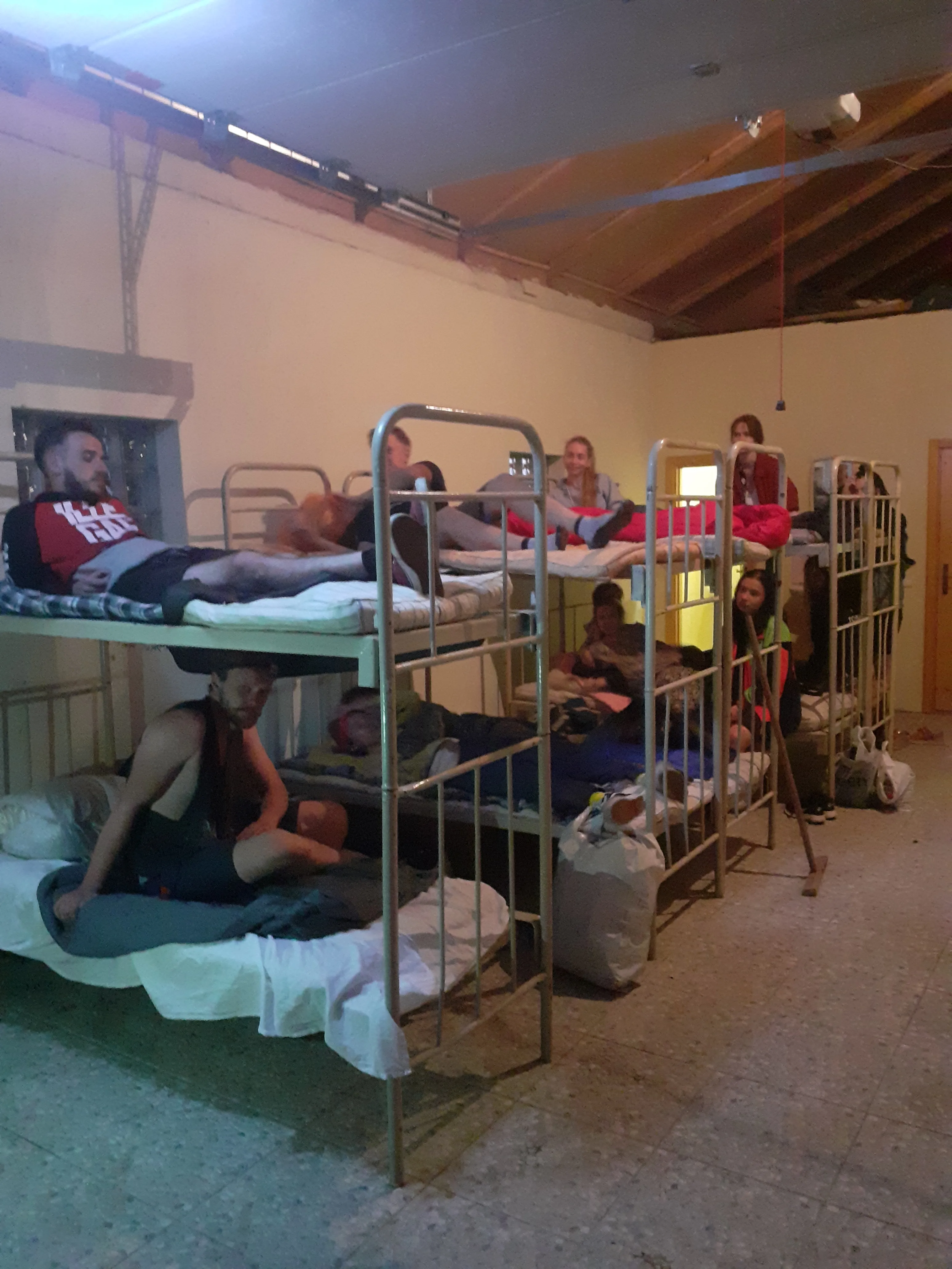 Перцы летнік. Вірус жывём у Пячынскага І.А.